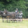 (84) Concours Attelage à la Forêt Fouesnant