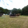 (84) Concours Attelage à la Forêt Fouesnant