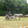 (84) Concours Attelage à la Forêt Fouesnant