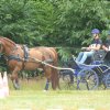 (84) Concours Attelage à la Forêt Fouesnant
