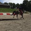 (083) XTREM-RACE 2017