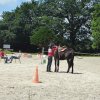 (083) XTREM-RACE 2017