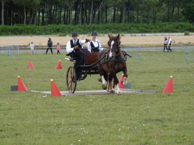 p1040051800x600_20140523_1775122994
