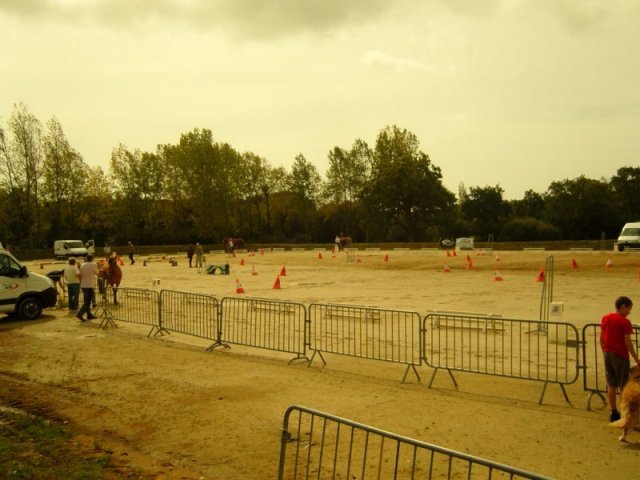 snc14707800x600_20140524_1209048463