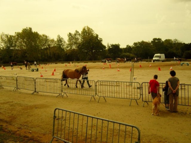 snc14708800x600_20140524_2039125054