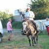 p1170737copier_20140524_1535883357