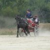 p1170993copier_20140524_1772356668