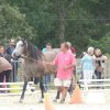 p1180027copier_20140524_1489683877