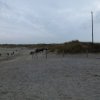 p1020841copier_20140524_1555022443