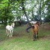 p1060043_copier_20140903_1105461047