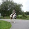 sam_0375_copier_20140903_1779818930