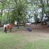 sam_0386_copier_20140903_1196394644