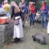 (079) Rando des gaulois- bientôt les photos