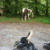 Rando Montée à Locunolé 20-21 mai 2017