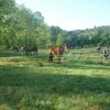 Rando Montée à Locunolé 20-21 mai 2017
