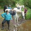Rando Montée à Locunolé 20-21 mai 2017