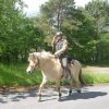 Rando Montée à Locunolé 20-21 mai 2017