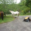 Rando Montée à Locunolé 20-21 mai 2017