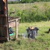img_1348_copier_20140601_1764632964