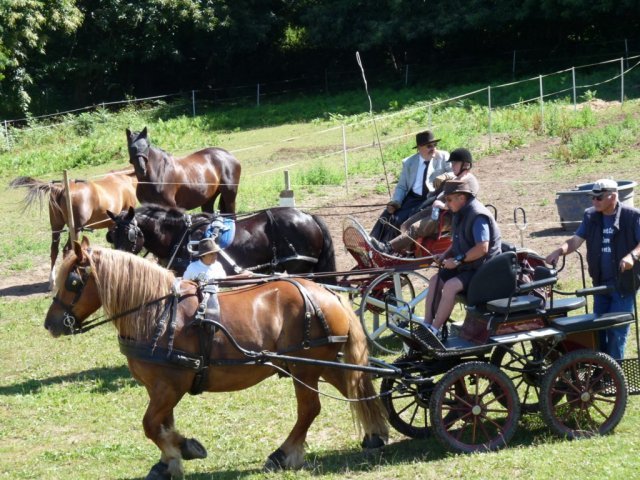 p10305951024x768_20140523_1196774250