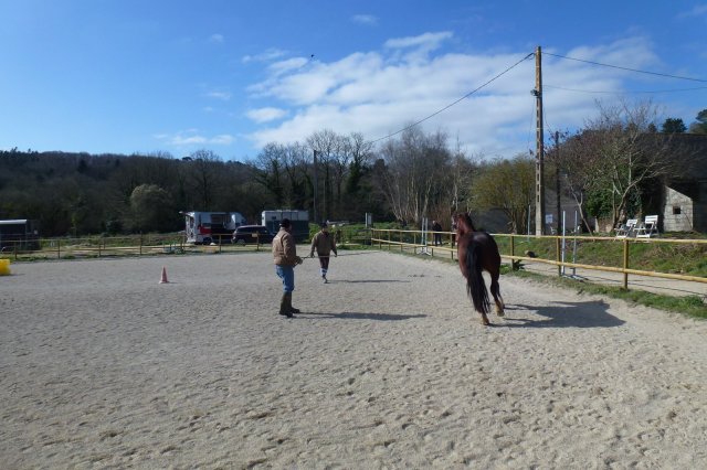 (064) Stage Attelage 2015