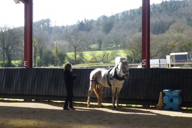 (064) Stage Attelage 2015