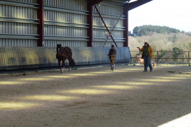 (064) Stage Attelage 2015