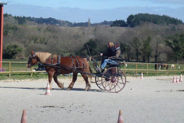 (064) Stage Attelage 2015