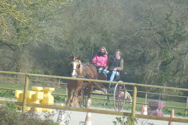 (064) Stage Attelage 2015