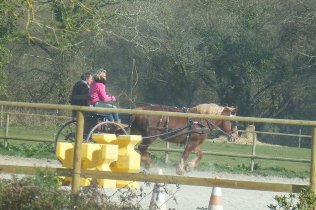 (064) Stage Attelage 2015