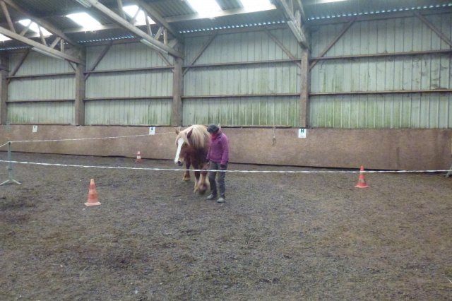(064) Stage Attelage 2015