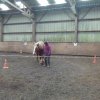 (064) Stage Attelage 2015