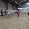 p1050399copier_20140524_1781261584