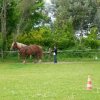 p1030746copier_20140524_1800258025
