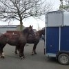 (068) Téléthon le 5 décembre à Plonéour Lanven