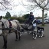 (068) Téléthon le 5 décembre à Plonéour Lanven