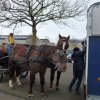 (068) Téléthon le 5 décembre à Plonéour Lanven