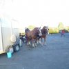 p1020140copier_20140524_1439531181
