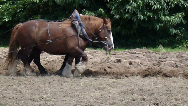 p1060804_copier_20140730_1291126856
