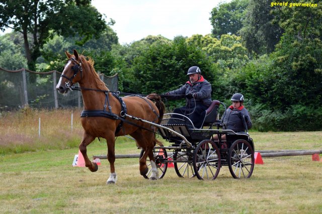 074 Week-end du cheval-Concours Attelage à La Forêt Fouesnant 9-10 juillet 2016