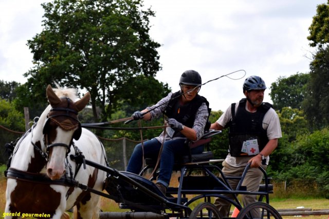 074 Week-end du cheval-Concours Attelage à La Forêt Fouesnant 9-10 juillet 2016