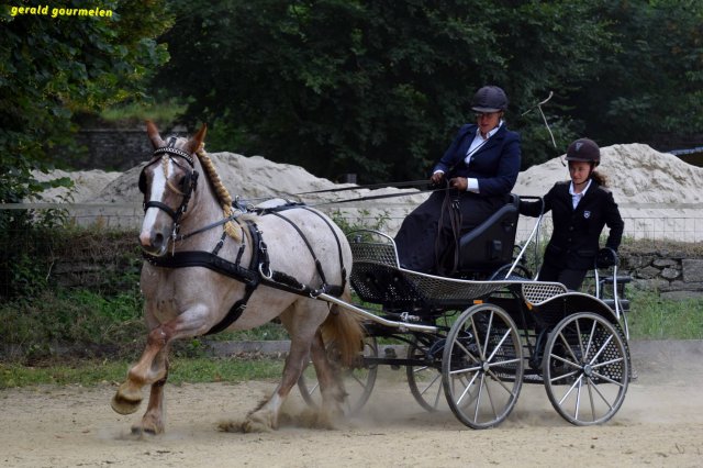 074 Week-end du cheval-Concours Attelage à La Forêt Fouesnant 9-10 juillet 2016