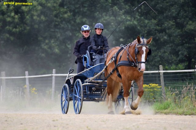 074 Week-end du cheval-Concours Attelage à La Forêt Fouesnant 9-10 juillet 2016