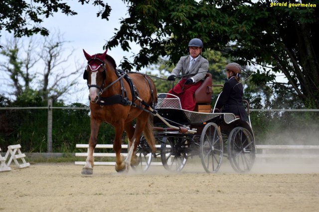 074 Week-end du cheval-Concours Attelage à La Forêt Fouesnant 9-10 juillet 2016