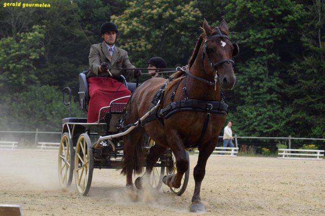 074 Week-end du cheval-Concours Attelage à La Forêt Fouesnant 9-10 juillet 2016