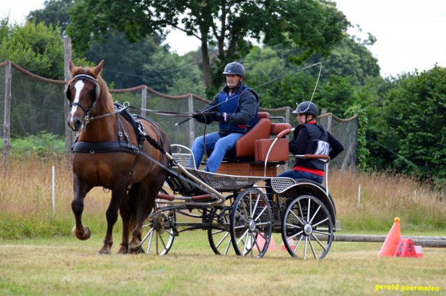 074 Week-end du cheval-Concours Attelage à La Forêt Fouesnant 9-10 juillet 2016