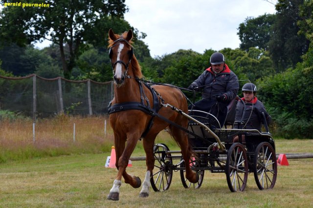 074 Week-end du cheval-Concours Attelage à La Forêt Fouesnant 9-10 juillet 2016
