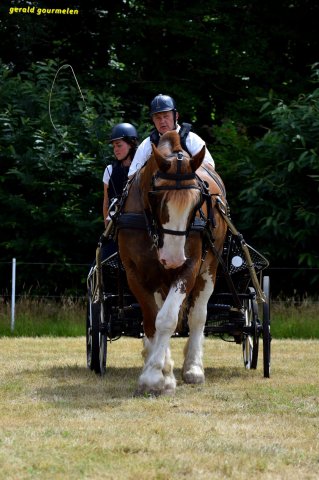 074 Week-end du cheval-Concours Attelage à La Forêt Fouesnant 9-10 juillet 2016