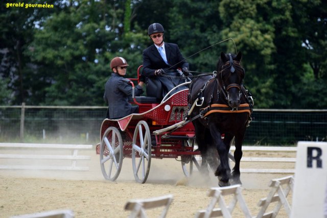 074 Week-end du cheval-Concours Attelage à La Forêt Fouesnant 9-10 juillet 2016