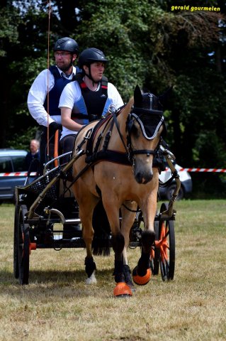 074 Week-end du cheval-Concours Attelage à La Forêt Fouesnant 9-10 juillet 2016